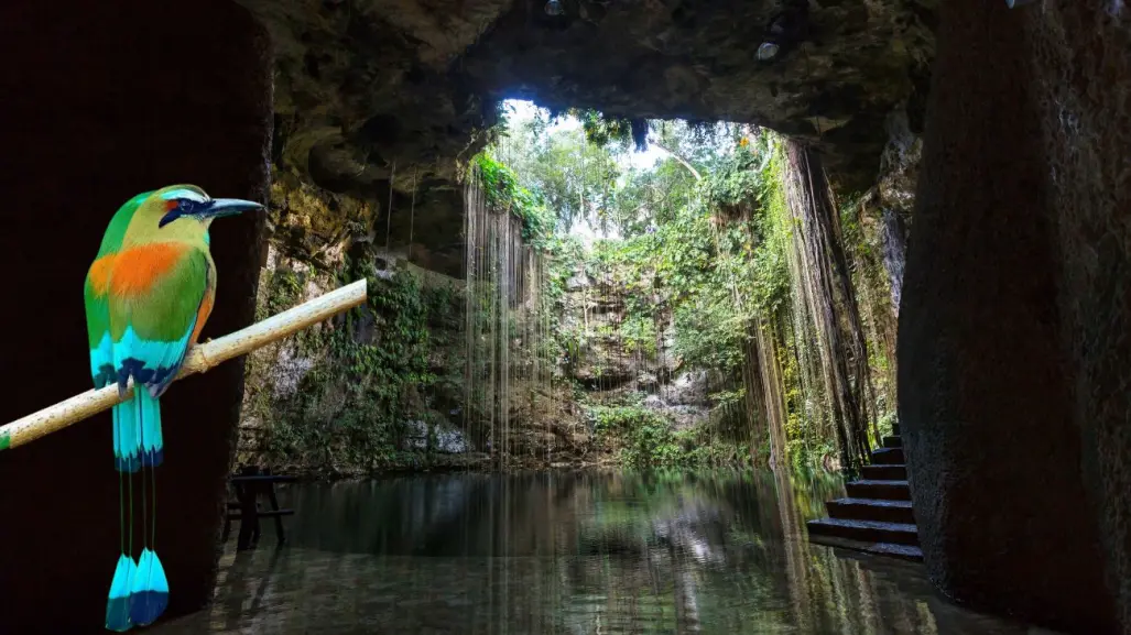 El pájaro Toh: guardián misterioso de los cenotes mayas