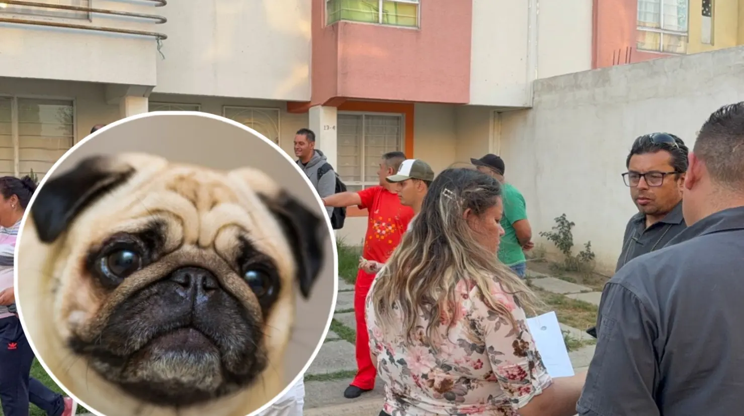 A pesar de la diligencia, no se encontraron indicios de maltrato ni el cadáver del animal. Imagen: Fernando Cruz/Freepik