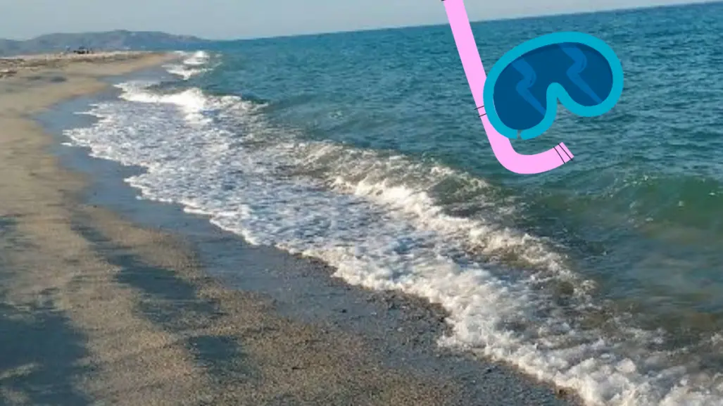 ¿Listo para hacer snorkel en Los Barriles y Buenavista?