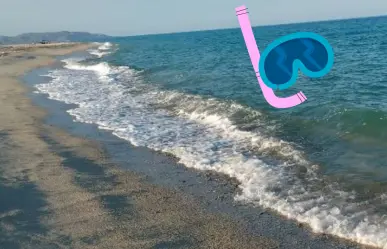 ¿Listo para hacer snorkel en Los Barriles y Buenavista?