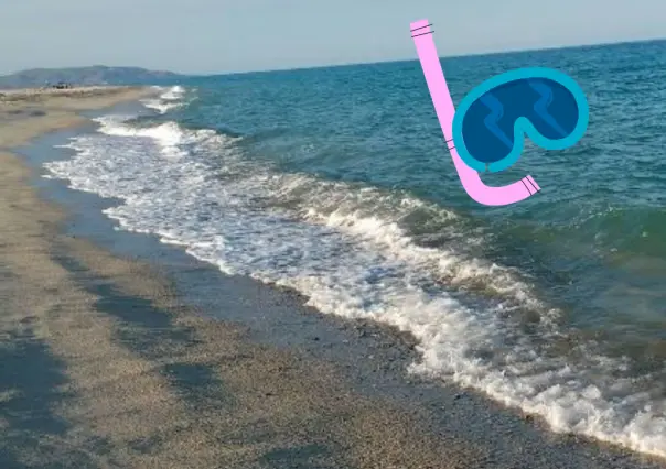 ¿Listo para hacer snorkel en Los Barriles y Buenavista?
