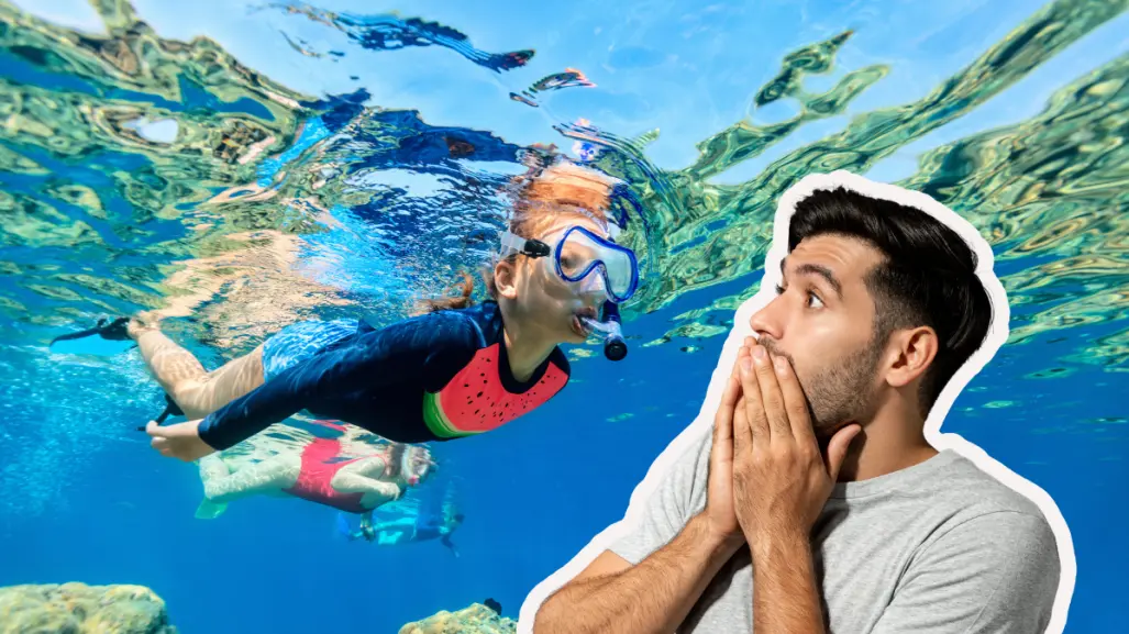 La belleza y tranquilidad de Bahía Concepción es ideal para el snorkel