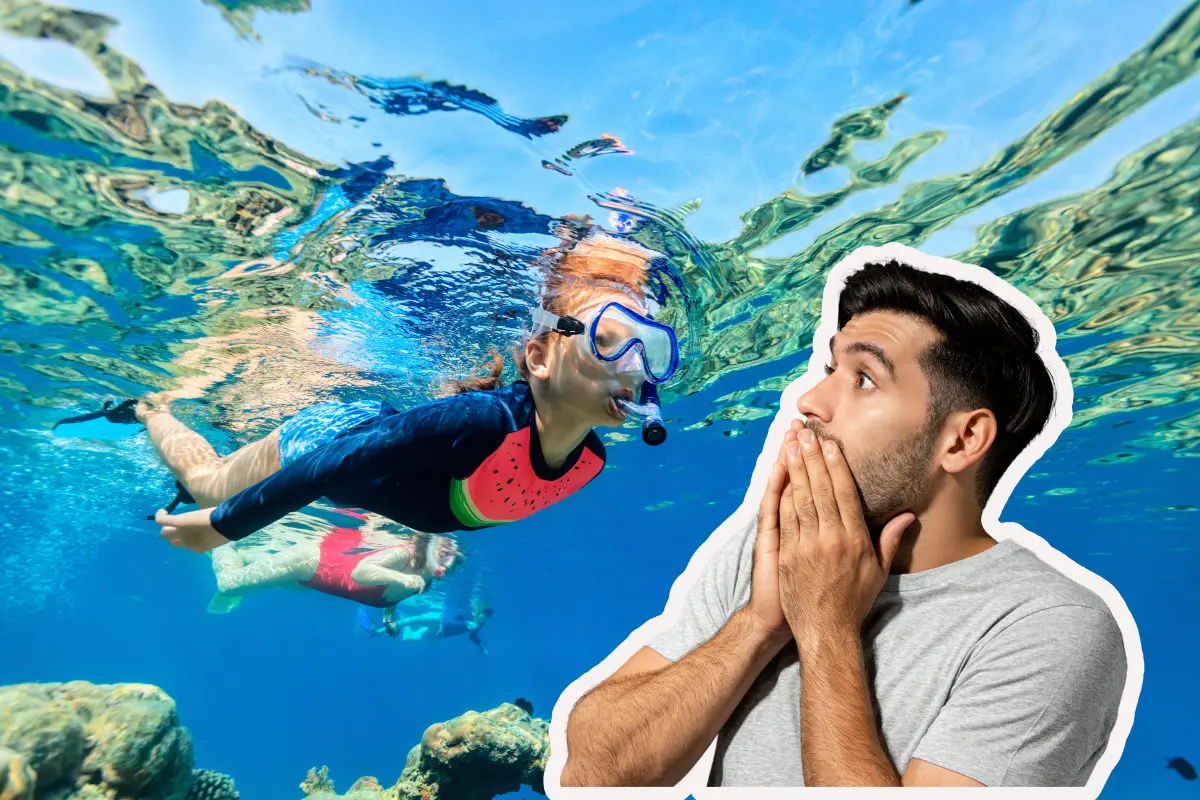 Sorpréndete con todas las actividades que puedes hacer en las playas de Mulegé. Fotos: Canva.