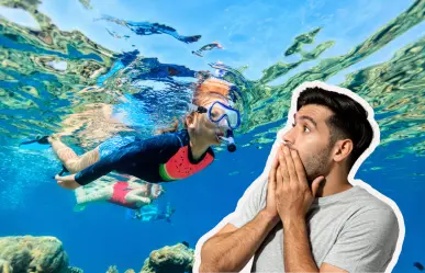 La belleza y tranquilidad de Bahía Concepción es ideal para el snorkel