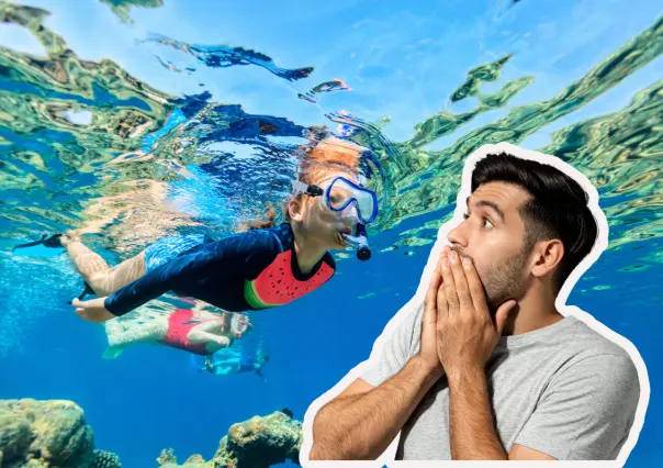 La belleza y tranquilidad de Bahía Concepción es ideal para el snorkel