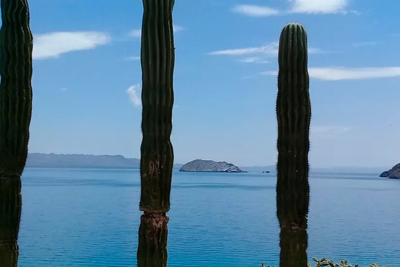 Bellos paisajes en Bahía Concepción. Foto: Trip Advisor.