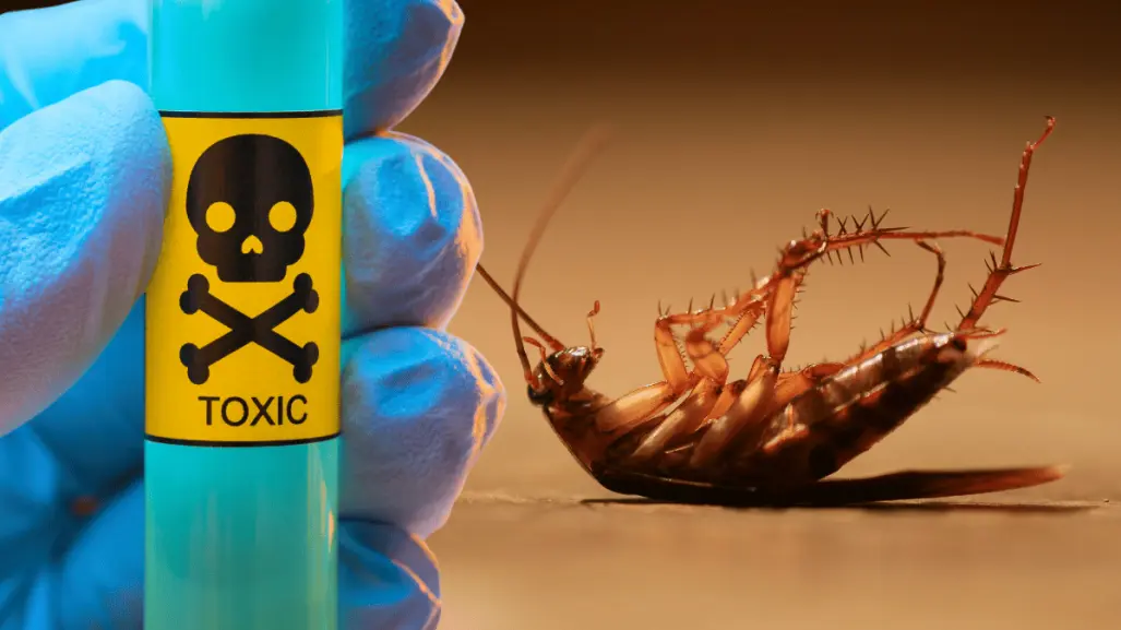 ¿Qué hacer en caso de ingerir veneno para cucaracha?