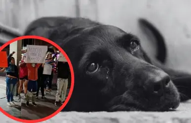 Convocan marcha pacífica en Lerma para exigir justicia por perrito asesinado