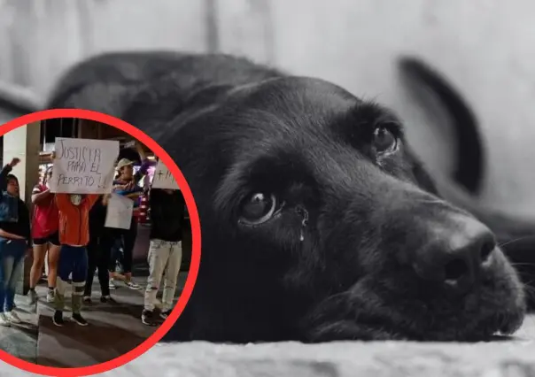 Convocan marcha pacífica en Lerma para exigir justicia por perrito asesinado