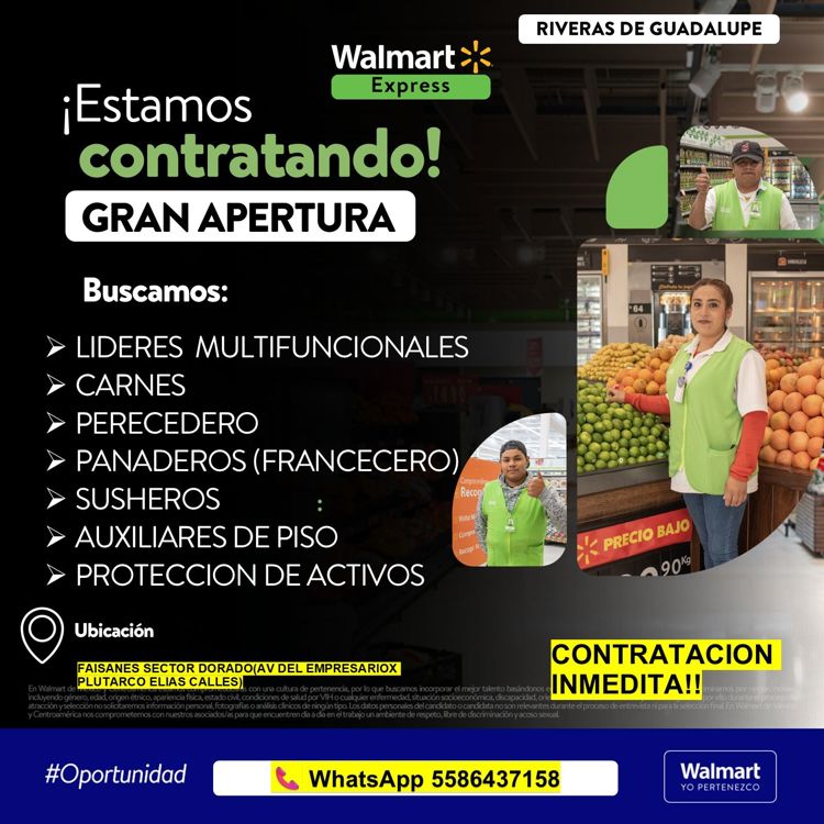 imagen-cuerpo imagen-cuerpo