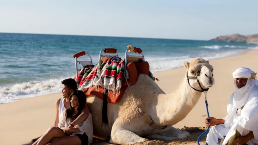 ¿Viajas en pareja a Los Cabos? Estas son las 5 actividades que no se pueden perder