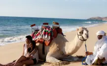 ¿Viajas en pareja a Los Cabos? Estas son las 5 actividades que no se pueden perder