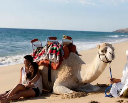 ¿Viajas en pareja a Los Cabos? Estas son las 5 actividades que no se pueden perder
