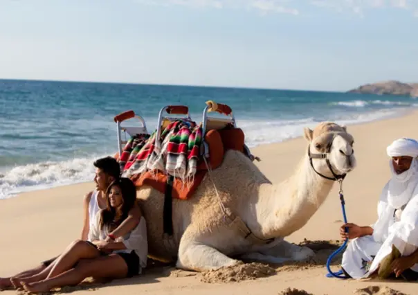 ¿Viajas en pareja a Los Cabos? Estas son las 5 actividades que no se pueden perder