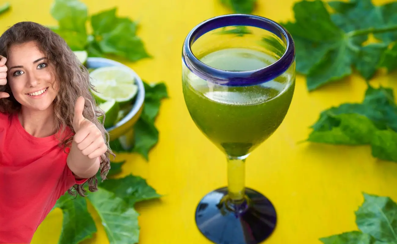 ¿Qué es la chaya y por qué es tan popular en Yucatán? Foto: Canva