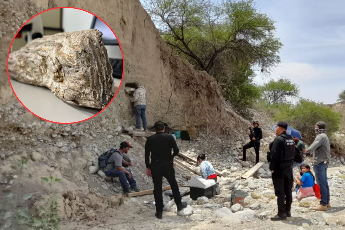 Los restos fósiles fueron encontrados en un arroyo de Tula. Foto: Daniel Espinoza