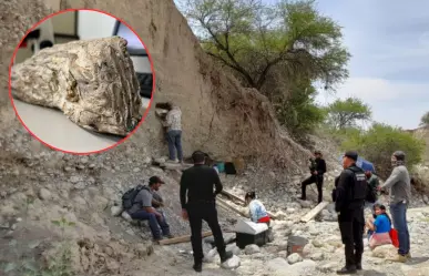 Fósiles descubiertos en Tamaulipas aportan información sobre la evolución de la vida en México
