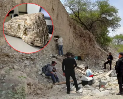 Fósiles descubiertos en Tamaulipas aportan información sobre la evolución de la vida en México