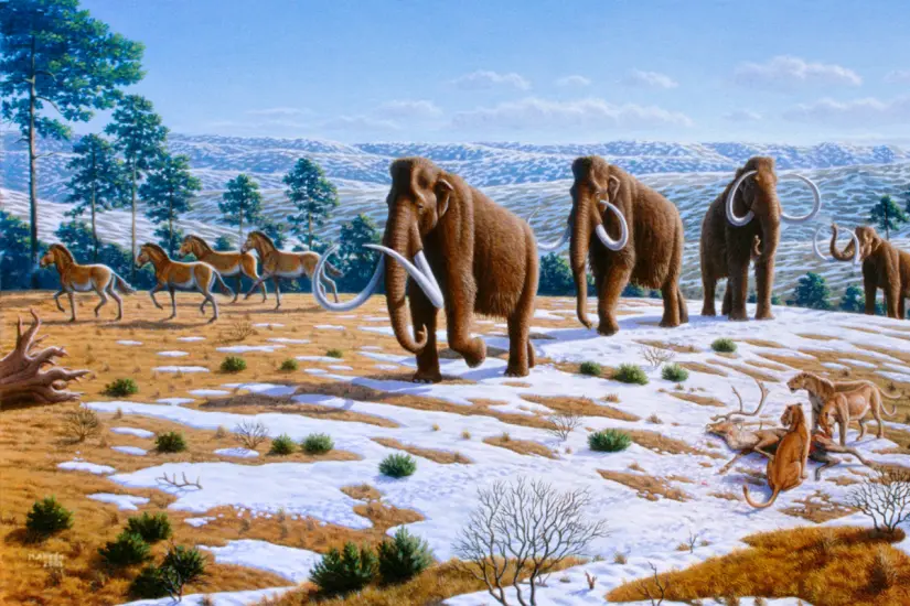El pleistoceno se caracterizó por la megafauna e importantes periodos de glaciación. Foto: Wikipedia