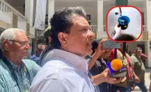 ¿Por qué no hay agua en las casas de Victoria?: esto dice Lalo Gattás