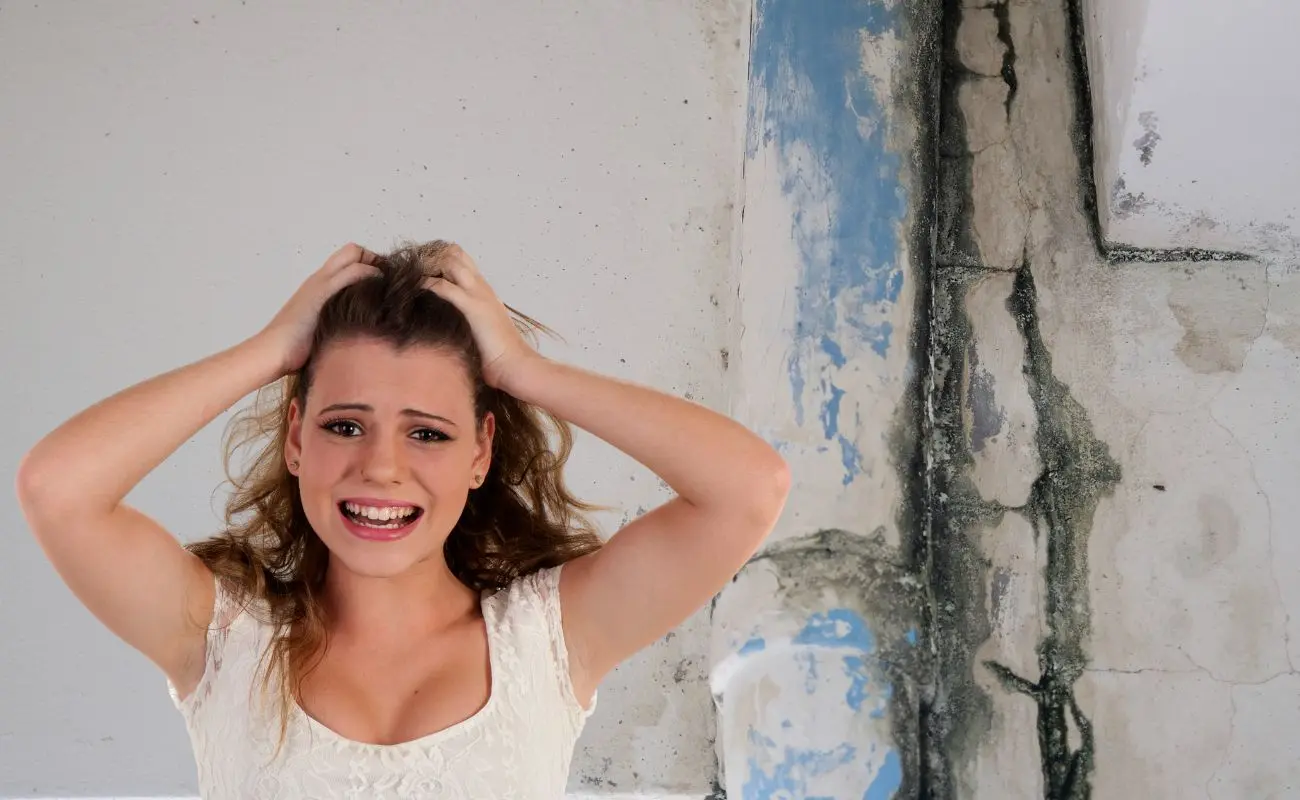¿Qué provoca las filtraciones en las casas de Yucatán? Foto: Canva