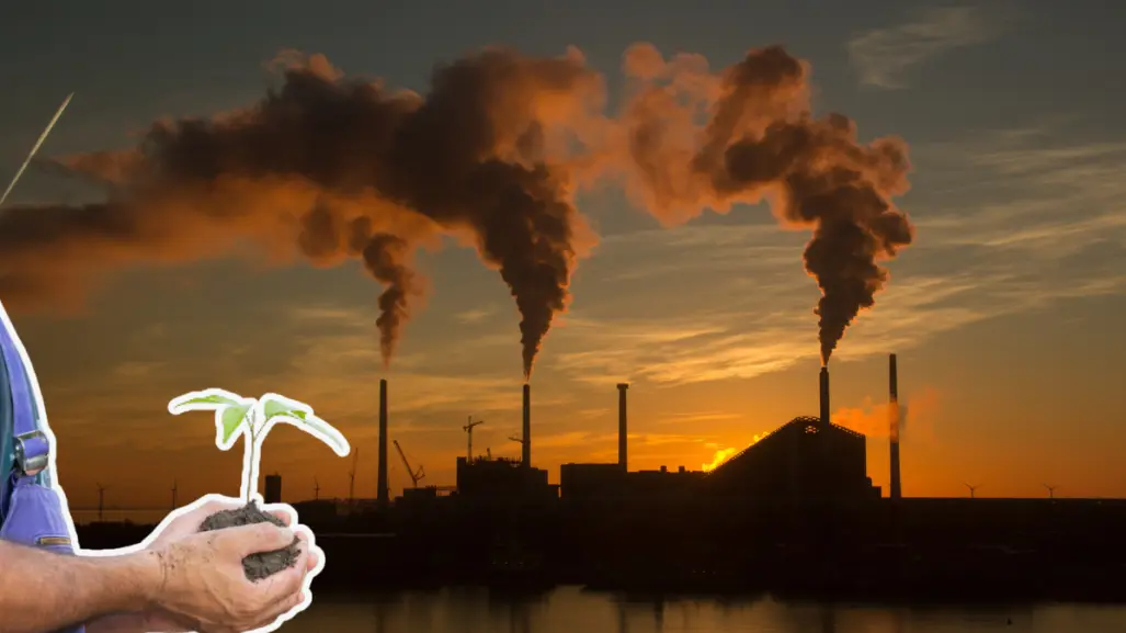 Tamaulipas ha recaudado 50 millones de pesos por impuesto verde ¿quiénes tienen que pagarlo?