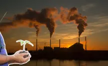 Tamaulipas ha recaudado 50 millones de pesos por impuesto verde ¿quiénes tienen que pagarlo?