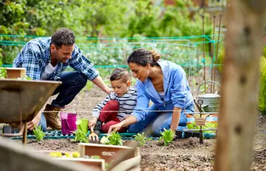 ¿La jardinería es benéfica para la salud, según la ciencia?
