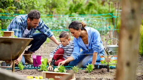 ¿La jardinería es benéfica para la salud, según la ciencia?