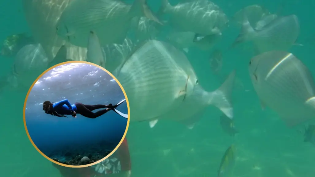 ¡Explora Chileno Bay! Vive una experiencia única de snorkel en Cabo San Lucas