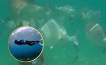 ¡Explora Chileno Bay! Vive una experiencia única de snorkel en Cabo San Lucas