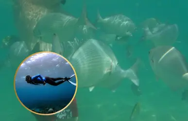¡Explora Chileno Bay! Vive una experiencia única de snorkel en Cabo San Lucas