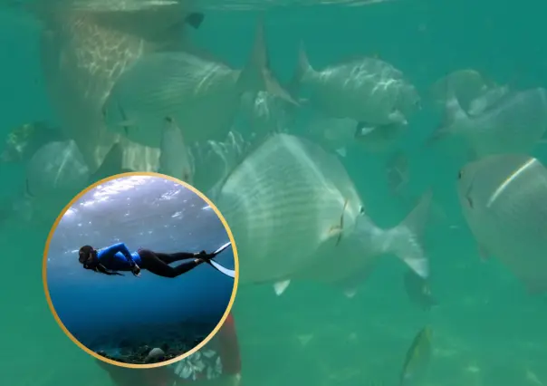 ¡Explora Chileno Bay! Vive una experiencia única de snorkel en Cabo San Lucas