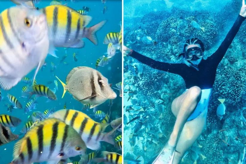 Foto: @toursenloscabos / X | larisafrcrz / X
