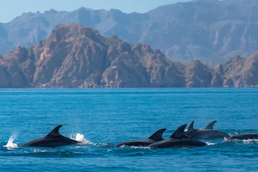 Isla coronado. Foto: Hotel Santa Fe Loreto.