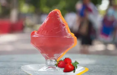 Dulcería y Sorbetería Colón: la mejor heladería para combatir el calor en Mérida