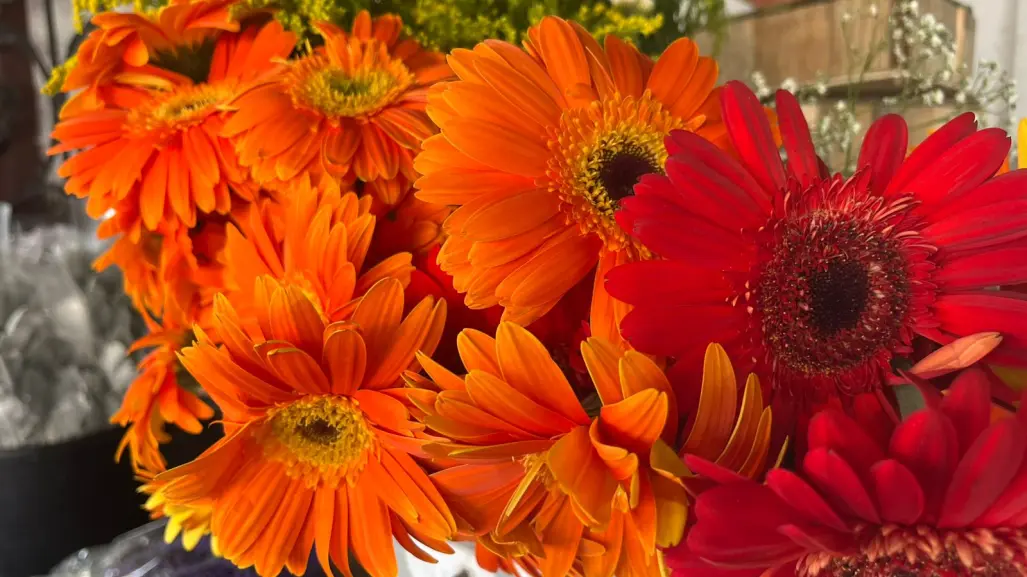 Día de las Madres: aumentan precios de ramos de rosas por ser los más solicitados