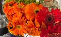 Día de las Madres: aumentan precios de ramos de rosas por ser los más solicitados