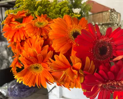Día de las Madres: aumentan precios de ramos de rosas por ser los más solicitados
