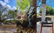 En este rincón de Yucatán se pueden encontrar 13 cenotes en un mismo lugar