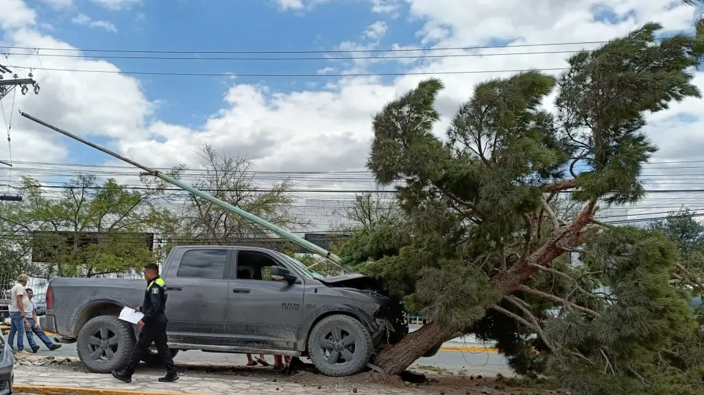 Accidente en Musa de León derriba árbol y luminaria en Saltillo