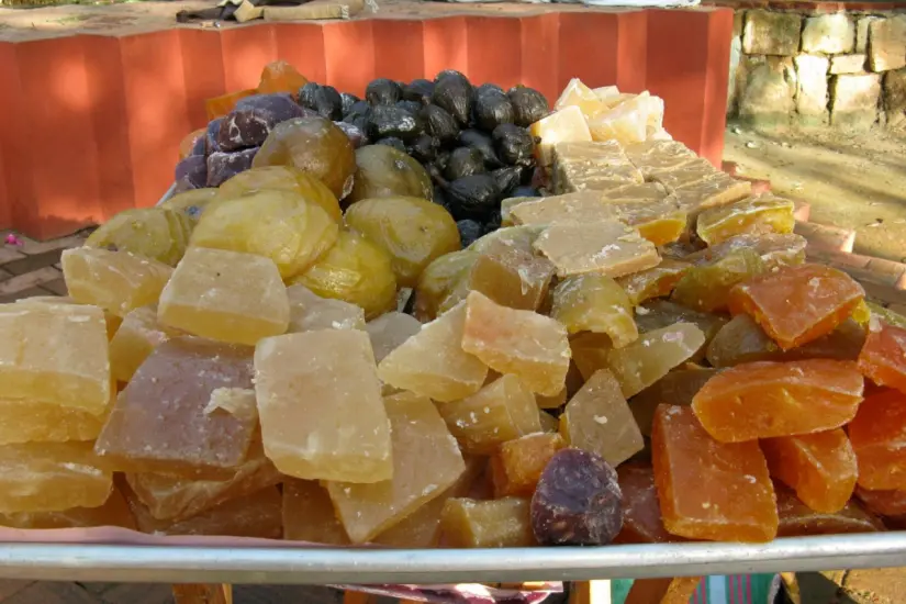 La elaboración de dulce de acitrón pone en riesgo a esta cactácea. Foto: Gobierno de México