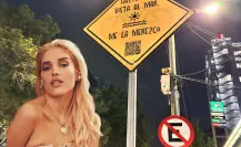 Elena Rose se disculpa por tapar letreros con publicidad para su concierto en CDMX