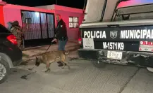 Cateos en Saltillo deja el decomiso de droga y vehículos en la Zaragoza