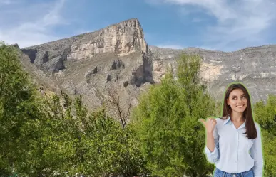 Conoce las plantas y árboles nativos de Nuevo León que puedes encontrar en el Cañón de Bustamante