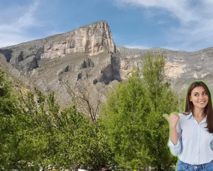 Conoce las plantas y árboles nativos de Nuevo León que puedes encontrar en el Cañón de Bustamante