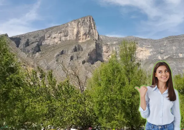 Conoce las plantas y árboles nativos de Nuevo León que puedes encontrar en el Cañón de Bustamante