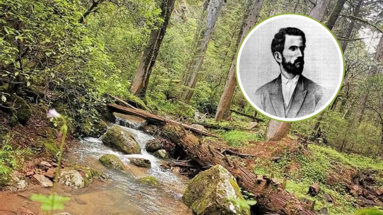El bosque de Durango ha sido el escenario de importantes hechos históricos. Foto: RRSS.