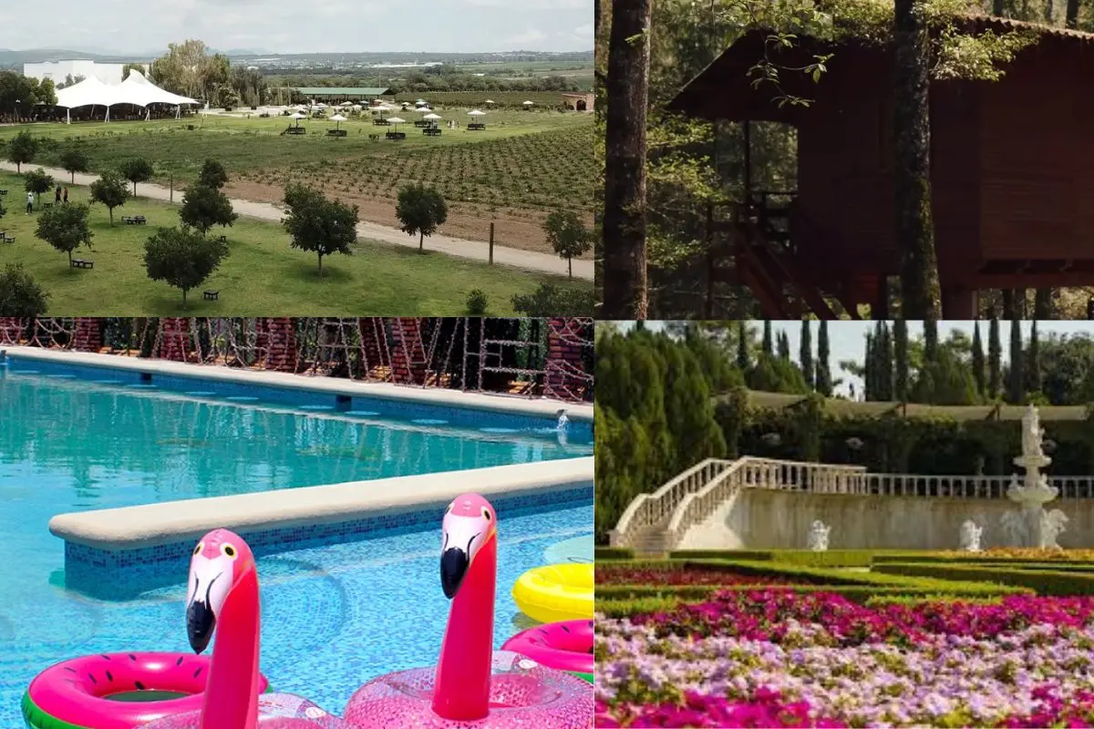 Viñedo la redonda, hotel los agaves, Jardines de México, agua morada Foto: IG (@vinoslaredonda) | IG: Facebook: (Los Agaves Hotel & SPA) | IG: (@jardinesdemexico) | IG (@aguamorada)