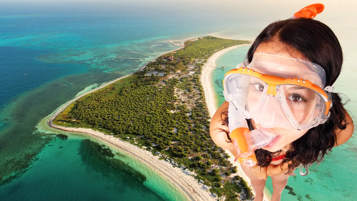 Esta isla se encuentra enfrente del puerto de Progreso Foto: Canva/Yucatán Turismo